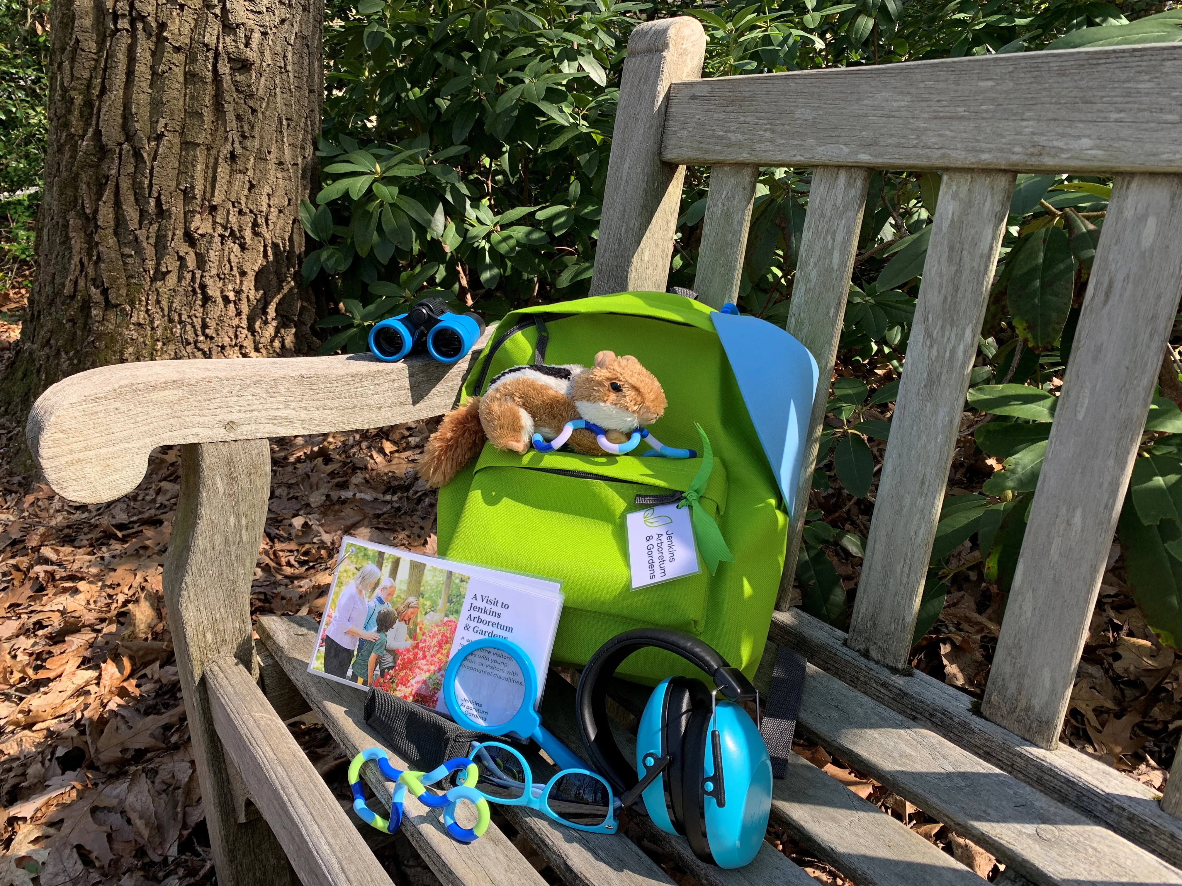 IDEA article Sensory Backpack